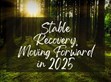 穩(wěn)健復蘇，2025向前行                                                                                                                                          